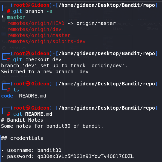 bandit29 2.png